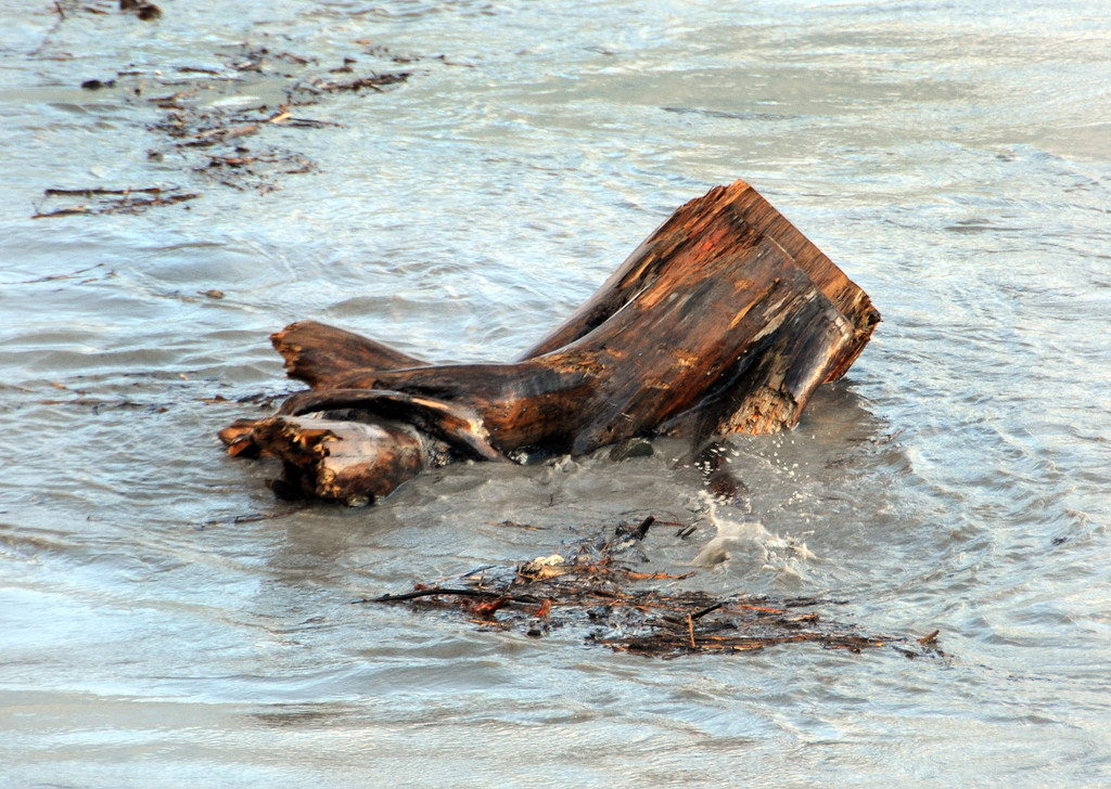 Rheinbru__cke 13-08-2014 95.jpg