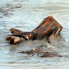 Rheinbru__cke 13-08-2014 95.jpg