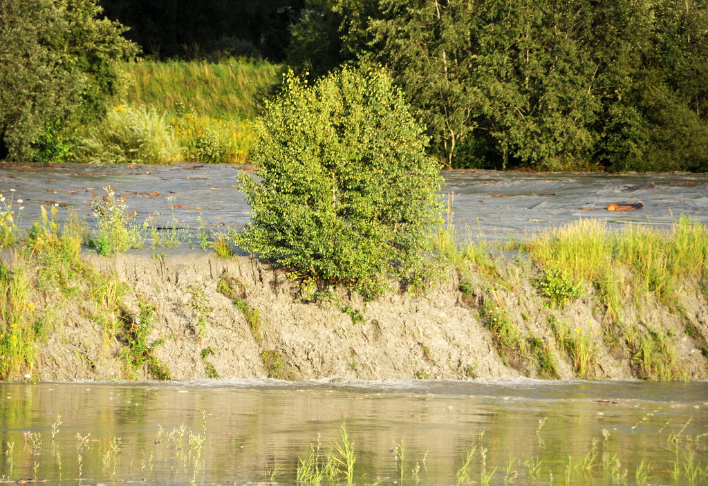 Rheinbru__cke 13-08-2014 63.jpg