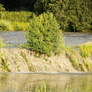 Rheinbru__cke 13-08-2014 63.jpg