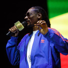 Snoop Dog - Snoop Lion - Frequency Festival 2014 - florian wieser - -1.jpg