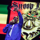 Snoop Dog - Snoop Lion - Frequency Festival 2014 - florian wieser - -3.jpg