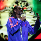 Snoop Dog - Snoop Lion - Frequency Festival 2014 - florian wieser - -4.jpg