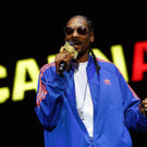 Snoop Dog - Snoop Lion - Frequency Festival 2014 - florian wieser - -5.jpg