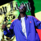 Snoop Dog - Snoop Lion - Frequency Festival 2014 - florian wieser - -6.jpg