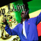 Snoop Dog - Snoop Lion - Frequency Festival 2014 - florian wieser - -8.jpg