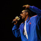 Snoop Dog - Snoop Lion - Frequency Festival 2014 - florian wieser - -9.jpg
