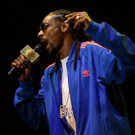 Snoop Dog - Snoop Lion - Frequency Festival 2014 - florian wieser - -10.jpg
