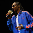 Snoop Dog - Snoop Lion - Frequency Festival 2014 - florian wieser - -11.jpg