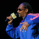 Snoop Dog - Snoop Lion - Frequency Festival 2014 - florian wieser - -12.jpg