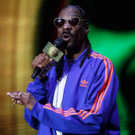 Snoop Dog - Snoop Lion - Frequency Festival 2014 - florian wieser - -13.jpg