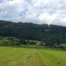 KOE_Egelsee Stoerche 3.jpg