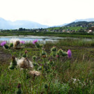 KOE_Egelsee Stoerche 7.jpg