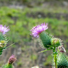 KOE_Egelsee Stoerche 9.jpg