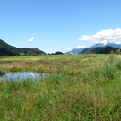 KOE_Egelsee Stoerche 10.jpg