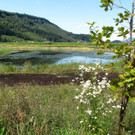 KOE_Egelsee Stoerche 13.jpg