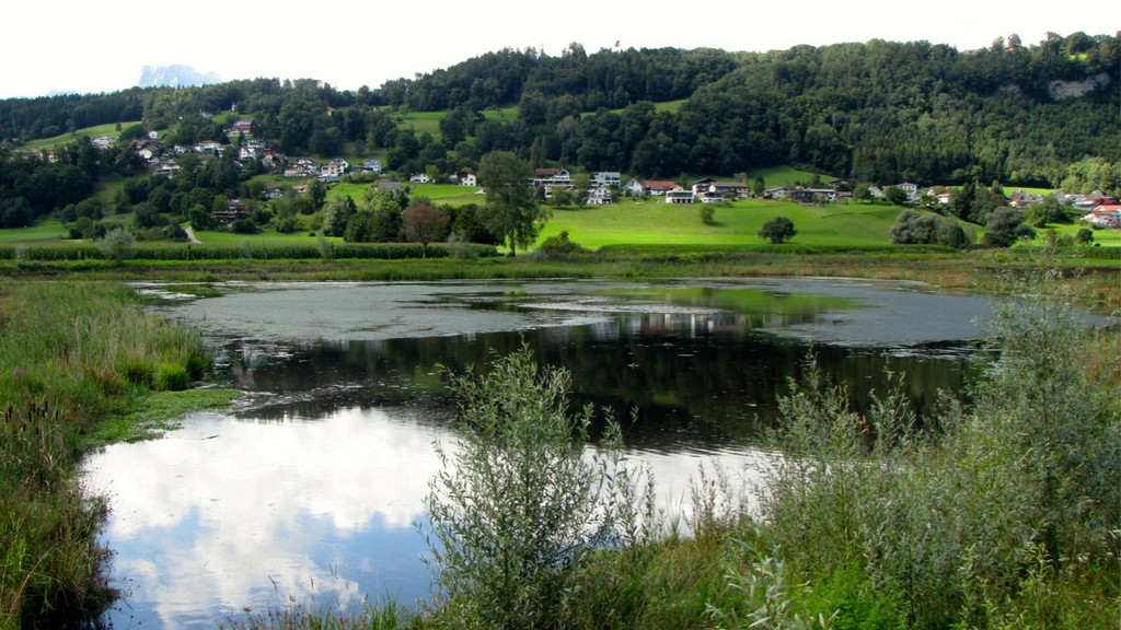 KOE_Egelsee Stoerche 16.jpg