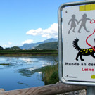 KOE_Egelsee Stoerche 18.jpg