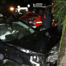 normal_24072009vuleonhardwm2_24.jpg