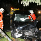 normal_24072009vuleonhardwm2_29.jpg
