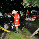 normal_24072009vuleonhardwm2_30.jpg