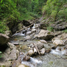 BK_Walserweg_Wanderung_Sankt Gerold 7.jpg