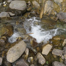 BK_Walserweg_Wanderung_Sankt Gerold 8.jpg