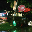 normal_24072009vustleonhardff_09.jpg