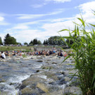 ABD0086-20140815.jpg
