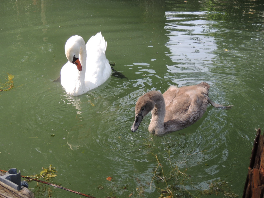 DSCN5765.JPG
