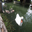 DSCN5785.JPG