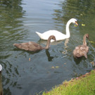 DSCN5789.JPG