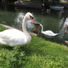 DSCN5798.JPG