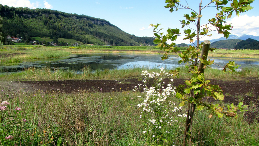 KOE_Egelsee Stoerche 13.jpg