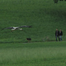 KOE_Egelsee Stoerche 34.jpg