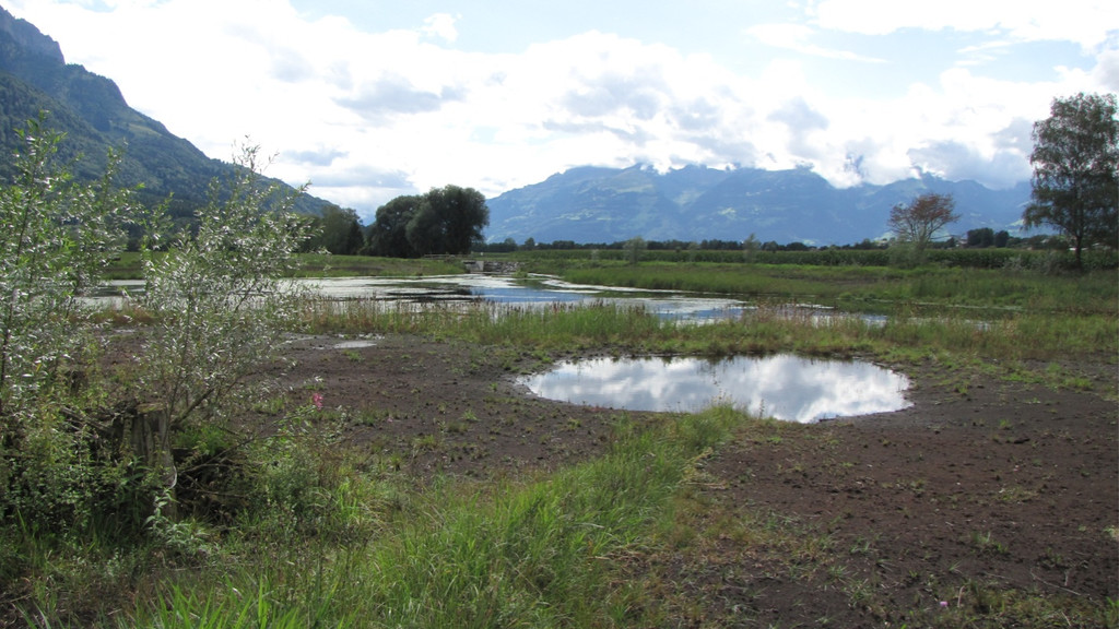 KOE_Egelsee Stoerche 21.jpg