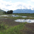 KOE_Egelsee Stoerche 21.jpg