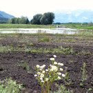 KOE_Egelsee Stoerche 24.jpg