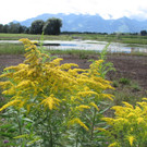 KOE_Egelsee Stoerche 27.jpg