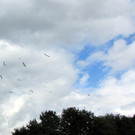 KOE_Egelsee Stoerche 42.jpg