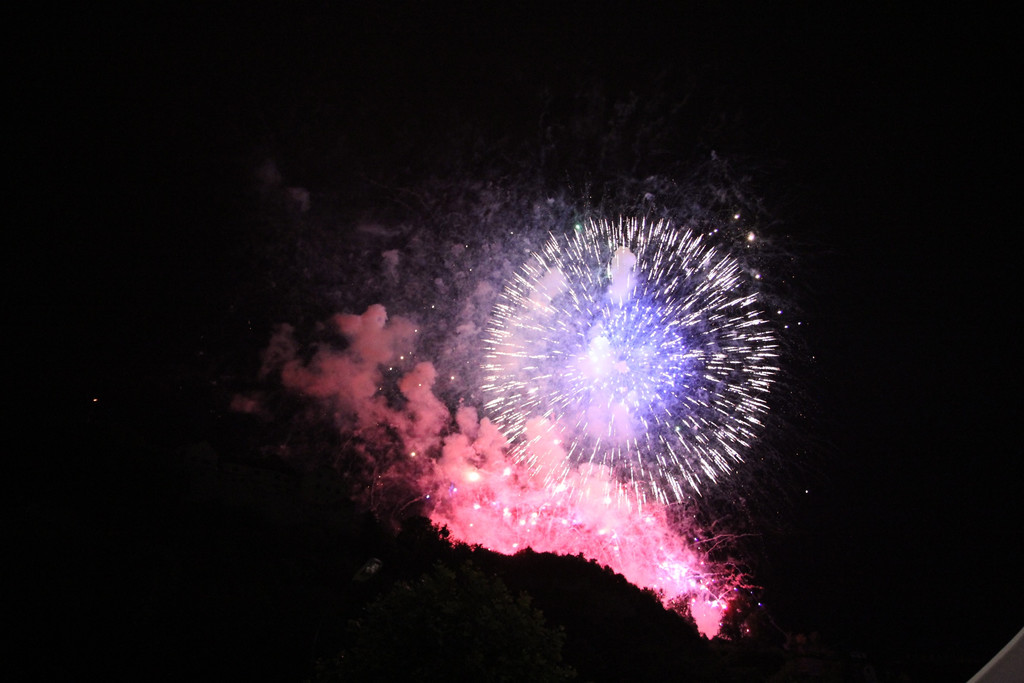 BK_Fu__rstenfest_Vaduz_2014 27.jpg