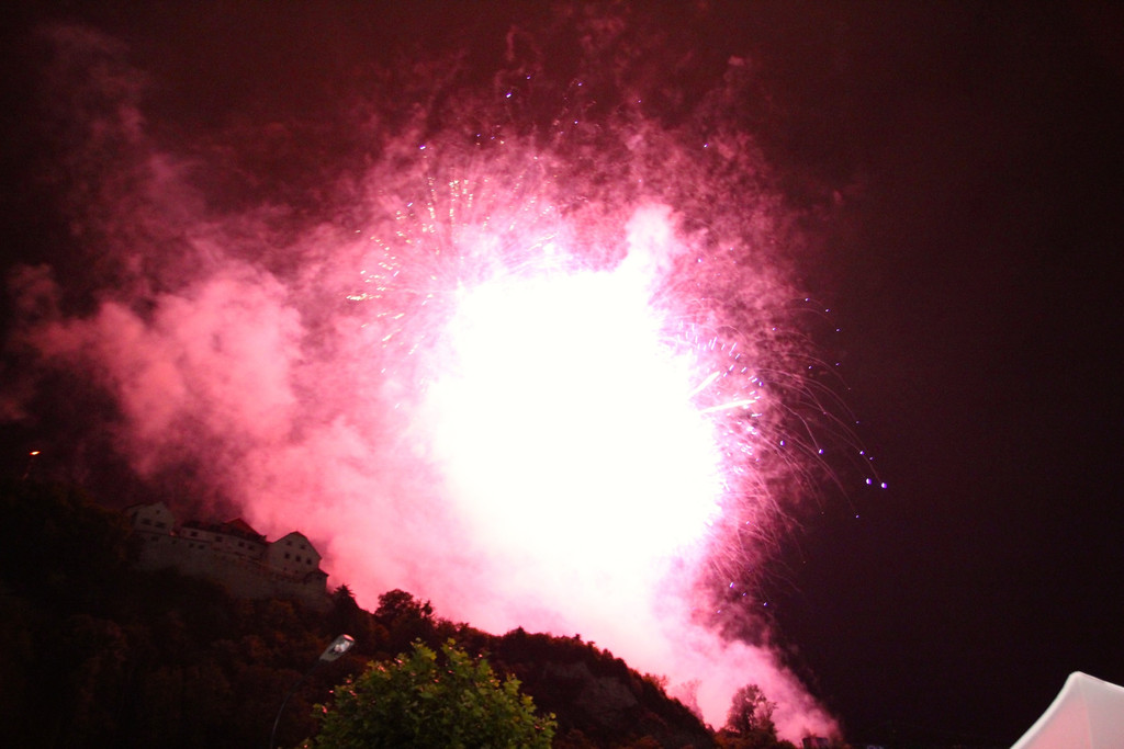 BK_Fu__rstenfest_Vaduz_2014 28.jpg