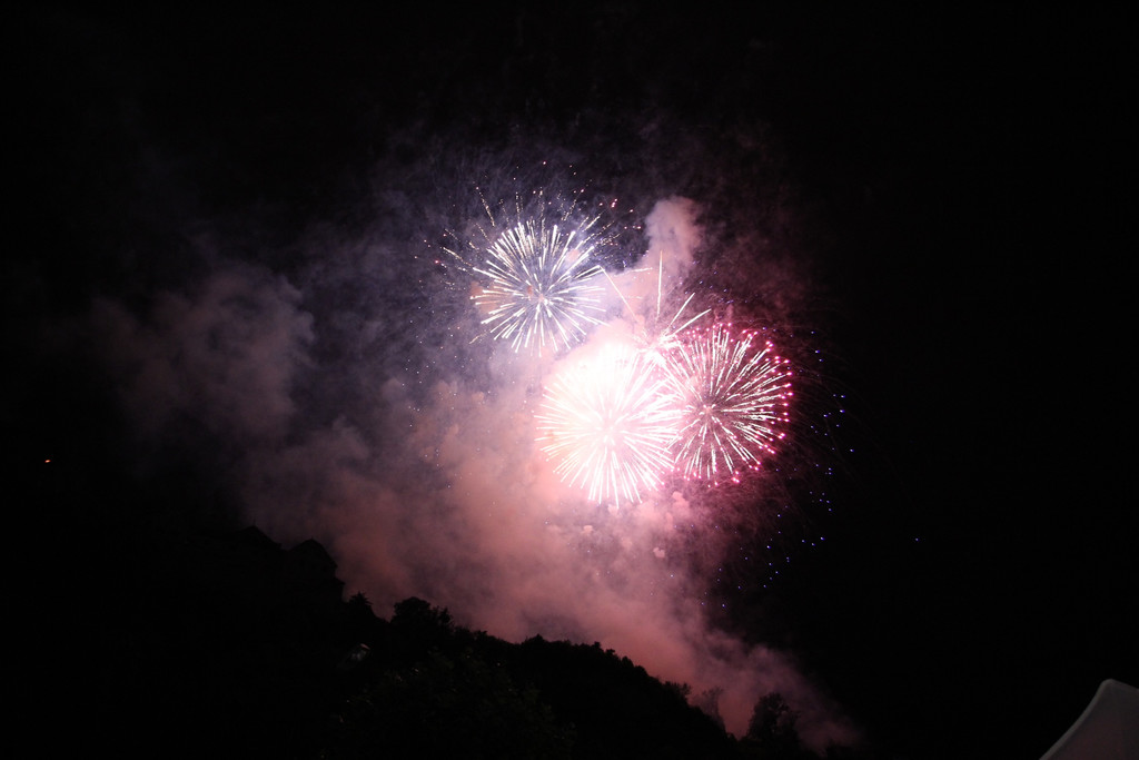 BK_Fu__rstenfest_Vaduz_2014 29.jpg