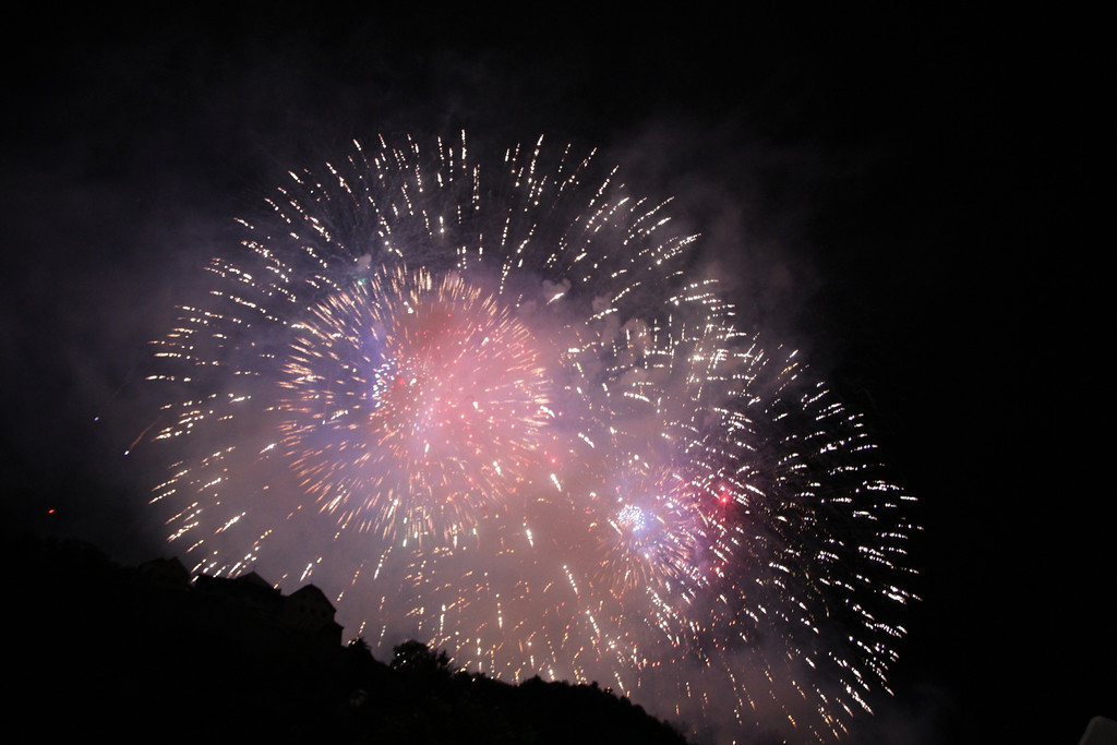 BK_Fu__rstenfest_Vaduz_2014 35.jpg
