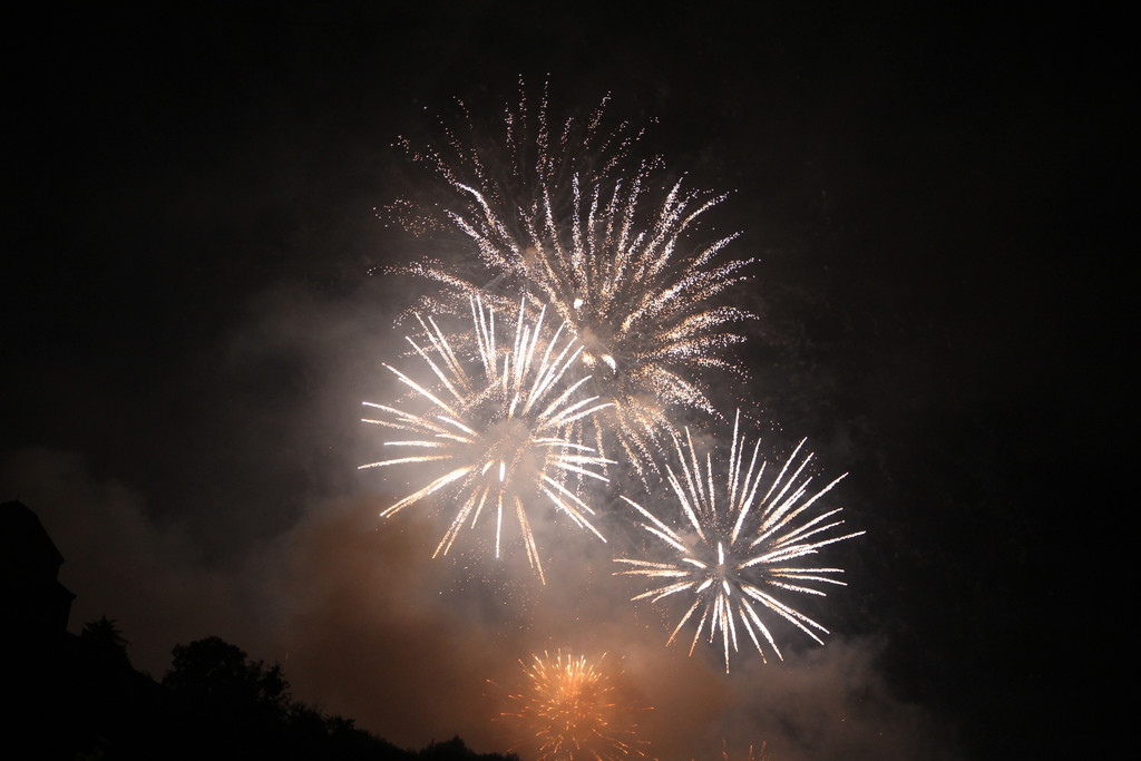 BK_Fu__rstenfest_Vaduz_2014 46.jpg