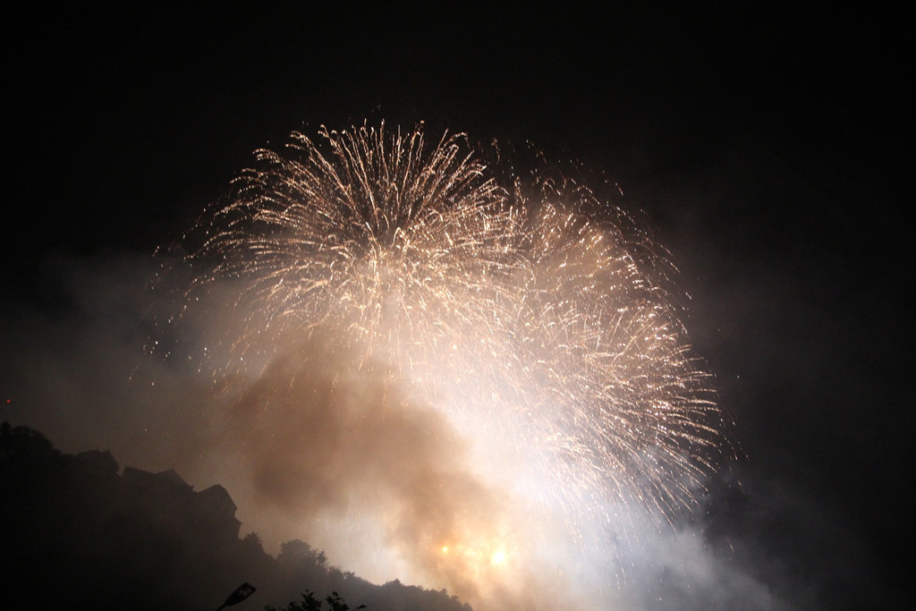 BK_Fu__rstenfest_Vaduz_2014 51.jpg