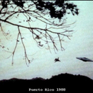 puertorico1988large.jpg