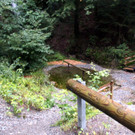 IMG_8992.jpg