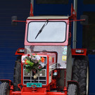 DSC_7940.JPG