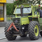 DSC_7993.JPG
